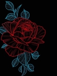 زهرا مجیدی پور