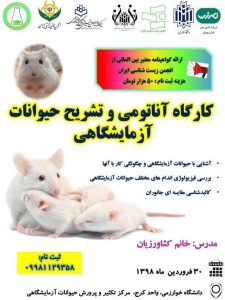 کارگاه آناتومی و تشریح حیوانات آزمایشگاهی