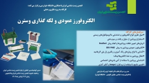 کارگاه الکتروفورز عمودی و لکه گذاری وسترن