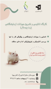 کارگاه آناتومی و تشریح حیوانات آزمایشگاهی (رت ویستار)